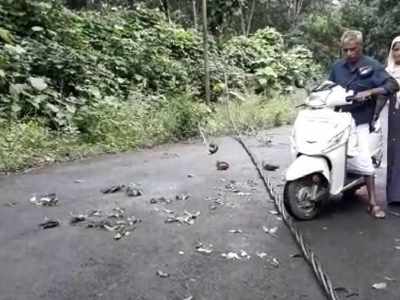 ലക്ഷങ്ങൾ മുടക്കി സ്ഥാപിച്ചു, മാസങ്ങളായി പ്രവർത്തനരഹിതം!! ചിമ്മിനി വൈദ്യുതി വിതരണ കേബിള്‍ നിലംപതിച്ചു