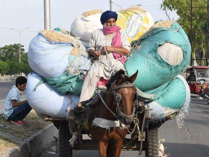 पंजाब में भरे गोदाम