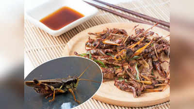 locust Recipes in Delhi: మీకు తెలుసా? ఢిల్లీ ప్రజలు మిడతలు తింటారట.. ఇదిగో రెసిపీ 