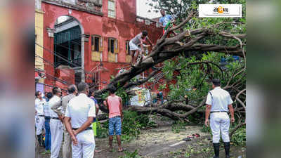 রাধা-কৃষ্ণ নড়বড়ে, শহরাঞ্চল ঢাকবে শাল-আম-নিম-জারুল