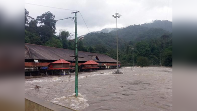 പമ്പയിൽ നിന്ന് മണൽ പുറത്തേക്ക് കൊണ്ടുപോകരുത്; വിലക്കുമായി വനംവകുപ്പ്