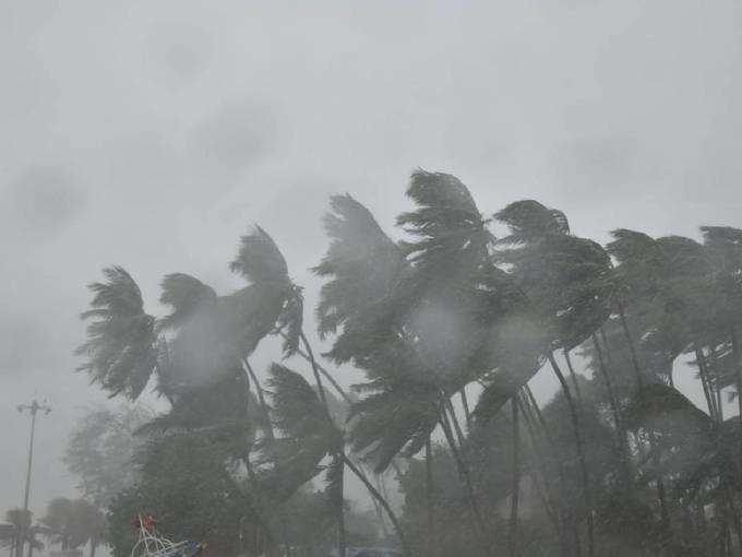 ​മഴയ്‌ക്കൊപ്പം അതിശക്തമായ കാറ്റും