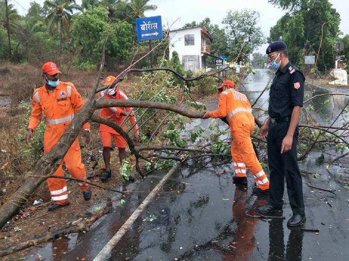 ​റോഡിലേക്ക് മരം കടപുഴകിയപ്പോൾ