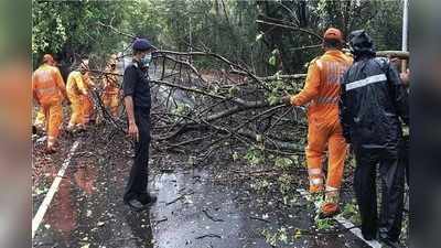 ಮಹಾರಾಷ್ಟ್ರ: ನಿಸರ್ಗ ಚಂಡಮಾರುತದಿಂದ ಧರೆಗೆ ಉರುಳಿದ ಮರಗಳು, ವಿದ್ಯುತ್‌ ಕಂಬಗಳು