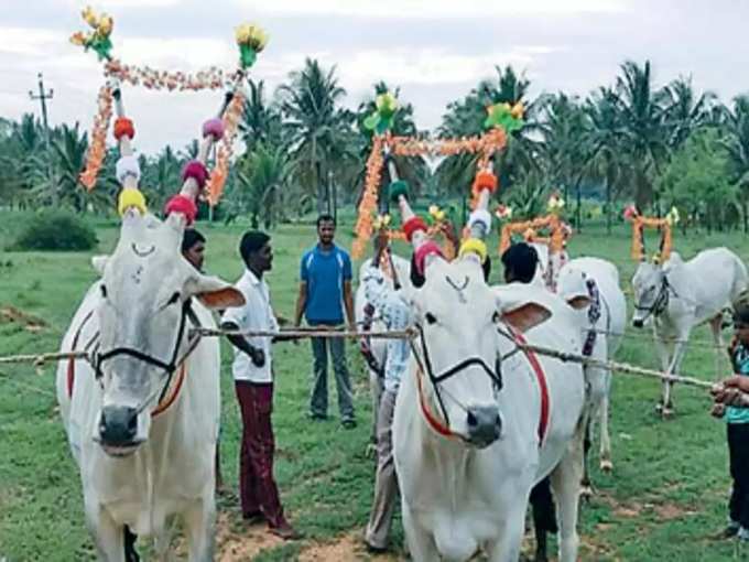 ​ಏನಿದು ಕಾರ ಹುಣ್ಣಿಮೆ..?