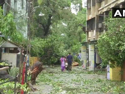 महाराष्ट्र से गुजरा चक्रवाती तूफान निसर्ग, जनजीवन ठप, गुजरात में नहीं पड़ा कोई बड़ा इफेक्ट