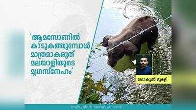 ആമസോണില്‍ കാടുകത്തുമ്പോള്‍ മാത്രമാകരുത് മലയാളിയുടെ മൃഗസ്നേഹം