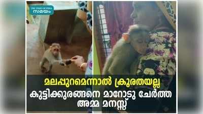 മലപ്പുറമെന്നാൽ ക്രൂരതയല്ല, കുട്ടിക്കുരങ്ങനെ മാറോടു ചേ‍ര്‍ത്ത അമ്മ മനസ്സ്