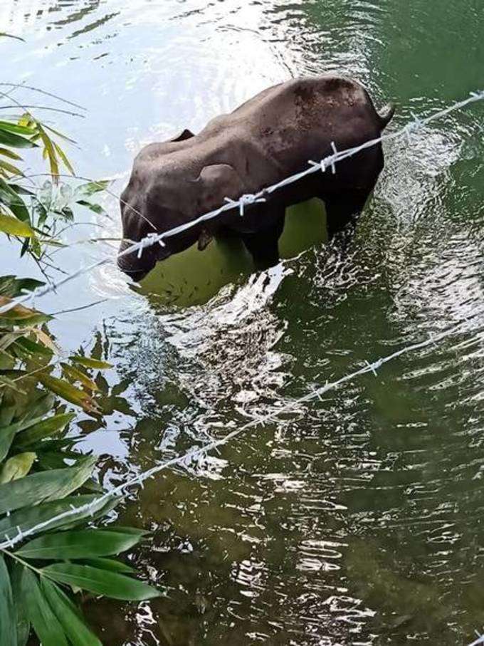 അത്യന്തം ഹൃദയഭേദകം