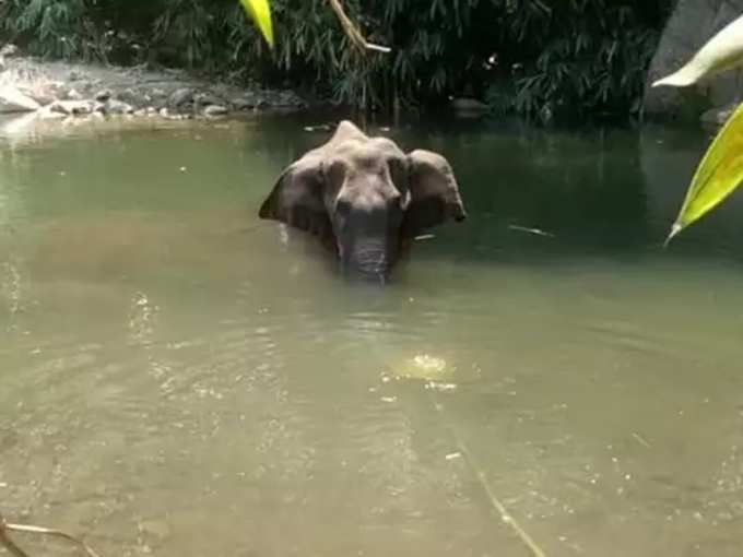 ശക്തമായ നടപടിയുണ്ടാകും