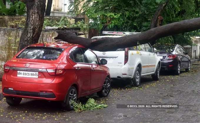 ಧರೆಗುರುಳಿದ ಮರಗಳು