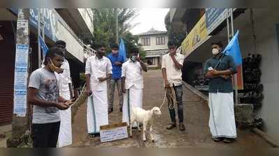 കൂടെവിടെ പ്രസിഡന്‍റേ...: ആട്ടിൻകുട്ടിയുമായി വാത്തിക്കുടിയിൽ കെഎസ്‍യു സമരം