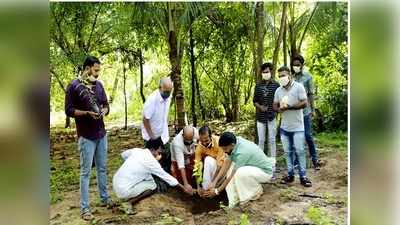 കടല്‍ത്തീരത്തെ പറമ്പ് കാടാക്കി:  കടല്‍ഭിത്തിക്ക് കവചം തീര്‍ത്ത് ആല്‍മരവും പേരാലും കറിവേപ്പും