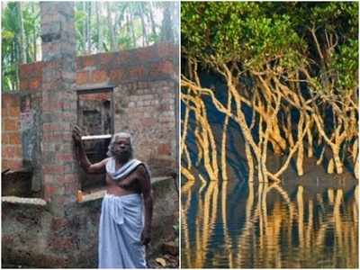 കണ്ടൽ സ്കൂൾ എന്ന സ്വപ്നം സഫലമായില്ല; കല്ലേന്‍ പൊക്കുടന്റെ നാട്ടില്‍ നശിപ്പിക്കപ്പെട്ടത് നൂറേക്കറോളം കണ്ടല്‍ചെടികള്‍