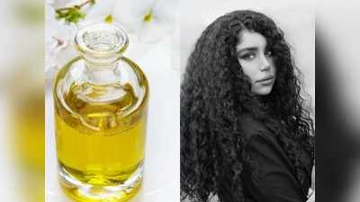 Hair Care: रूखे-सूखे और सफेद बालों में जान फूंक सकता है मेहंदी का तेल, जानें इसके और भी फायदे