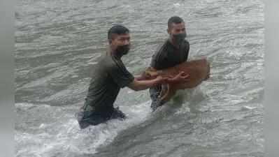 ನದಿಯಲ್ಲಿ ಮುಳುಗುತ್ತಿದ್ದ ಗರ್ಭಿಣಿ ಜಿಂಕೆಯನ್ನು ರಕ್ಷಿಸಿದ ಭಾರತೀಯ ಯೋಧರು