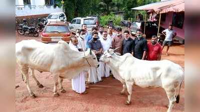 കാളക്കൂറ്റന്മാരെ മുഖ്യമന്ത്രിയുടെ ദുരിതാശ്വാസനിധിയിലേക്ക് നൽകി