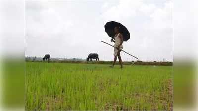 PM-Kisan सम्मान निधि के लाभ से वंचित हो सकते हैं आजमगढ़ में 65 हजार किसान