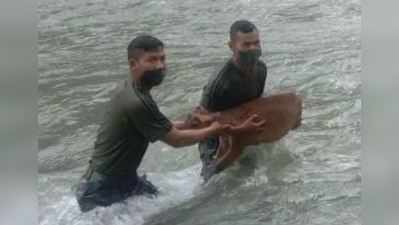 પ્રેગ્નન્ટ હરણને બચાવવા ભારતીય સૈનિકો નદીમાં કૂદ્યા, યૂઝર્સ કરી રહ્યાં છે વખાણ