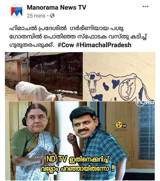 ​ഇനി പശു ചെറുത് ആയത് കൊണ്ടാണോ