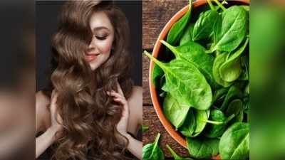 Hair Growth Remedy: नहीं बढ़ रही है बालों की ग्रोथ? हफ्ते में 2 बार लगाएं पालक का Hair Pack