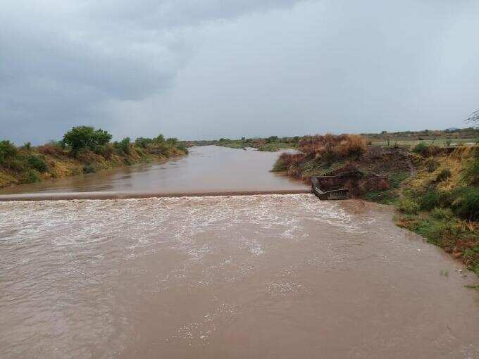 સૌરાષ્ટ્ર સહિત રાજ્યના અનેક વિસ્તારોમાં ધોધમાર વરસાદ, ગોંડલમાં 3.5 ઈંચ ખાબક્યો