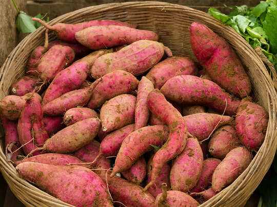 Sweet Potato Benefits During Pregnancy,ഗര്‍ഭകാലത്തു കഴിയ്ക്കണം മധുരക്കിഴങ്ങ്.... - sweet potato benefits during pregnancy - Samayam Malayalam