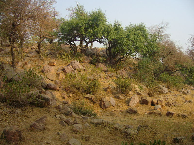 ​ಭಕ್ತರ ಎಲ್ಲಾ ಆಸೆಗಳು ಇಲ್ಲಿ ನೆರವೇರುತ್ತದೆ