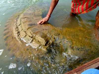 মহানদীর গর্ভে মিলল প্রাচীন মন্দিরের খোঁজ