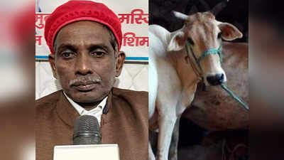 गो तस्करी कानून: इकबाल अंसारी बोले- दूध शिफा, घी दवा और गोश्त जहर, गाय ना काटें मुसलमान
