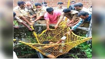 പിലാത്തറയിലെ ക്ഷേത്ര കവർച്ച: മോഷ്ടാക്കൾ കിണറ്റിൽ ഉപേക്ഷിച്ച  സിസിടിവി ക്യാമറ കണ്ടെത്തി