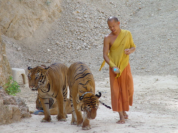 Buddhist Temple