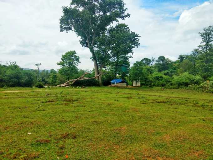 ​മാർഗം വനപാത മാത്രം