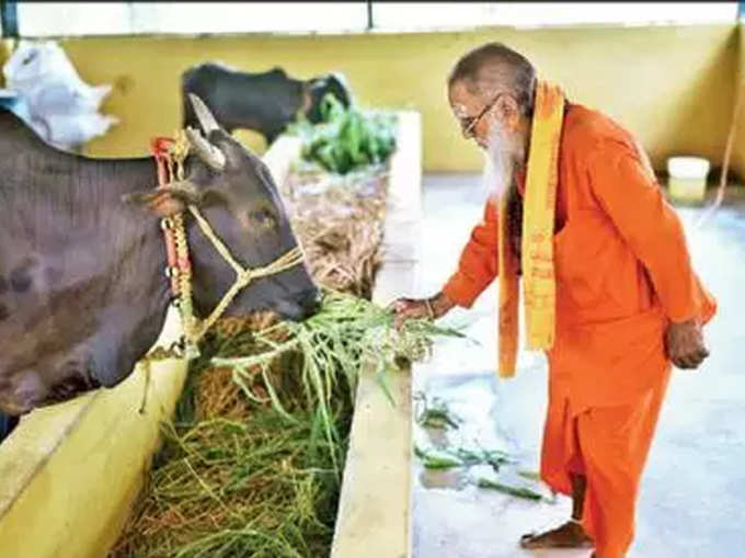 गोशाल के लिए दिया तीन लाख का दान