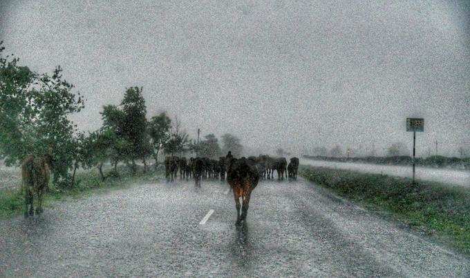 पटना में आंधी-तूफान संग बारिश