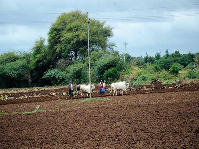 ​ಧಾರವಾಡ: ಮಳೆಗಾಗಿ ಆಕಾಶದತ್ತ ಚಿತ್ತ