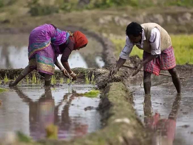 ​ದಾವಣಗೆರೆ, ಚಿತ್ರದುರ್ಗ: ಜೂನ್‌ ನಂತರ ಉತ್ತಮ ಮಳೆ