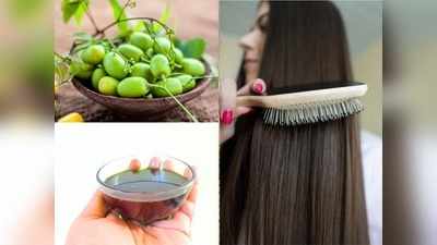 Hair Fall Remedy: झड़-झड़कर कम हो गए हैं सिर के बाल? तो हफ्ते में 2 बार जरूर लगाएं नीम का तेल