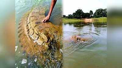 महानदीत प्रकटले ५०० वर्ष जुने मंदिर; नेमके काय घडले? वाचा