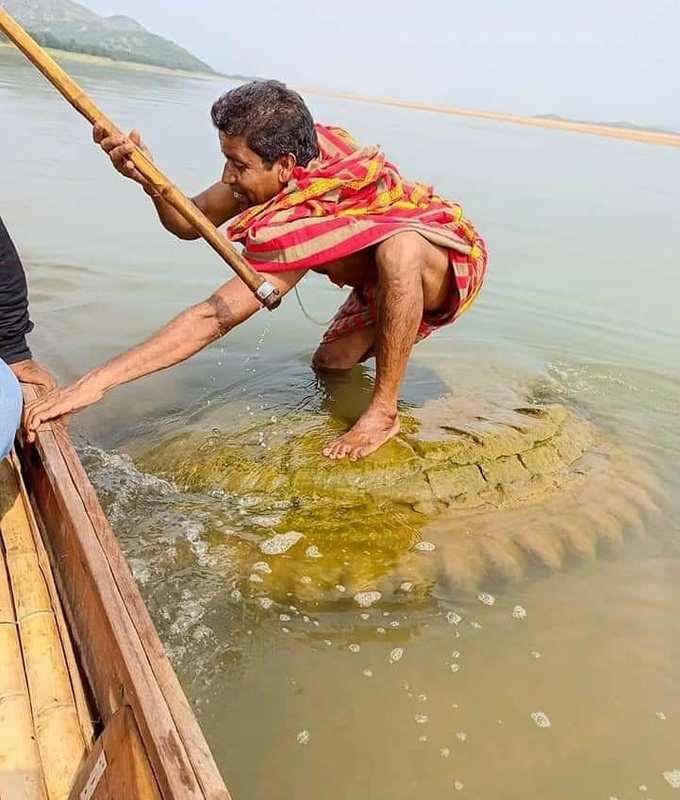 ​महानदीत प्रकल्प सुरू असताना दिसले मंदिर