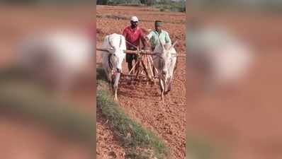 ಕೃಷಿಯಲ್ಲಿ ಖುಷಿ ಕಂಡ ಅತಿಥಿ ಉಪನ್ಯಾಸಕರು