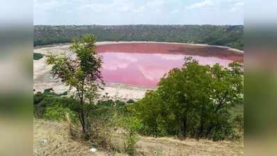 लोणार : गुलाबी नव्हे गार!