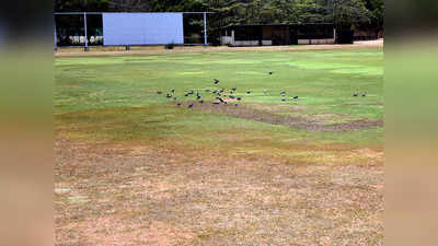 श्रीलंका में 25 जून तो साउथ अफ्रीका में 27 जून से बहाल होगा क्रिकेट