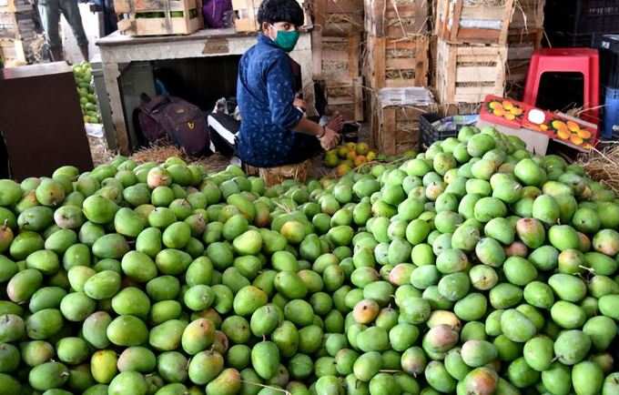 હાફુસનો ઉત્પાદન ખર્ચ ઉંચો