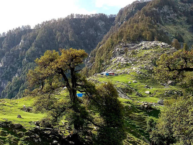 ​मैक्लोडगंज से त्रिउंड, हिमाचल प्रदेश