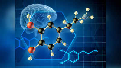 Mental Health And Hormones: हॉर्मोन्स और न्यूरोट्रांसमीटर्स में होता है यह अंतर, मेंटल हेल्थ के लिए हैं जरूरी