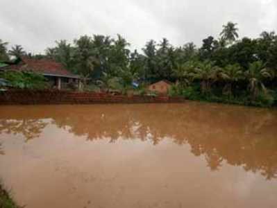 ಭಟ್ಕಳದಲ್ಲಿ ಮುಂದುವರಿದ ಮಳೆ