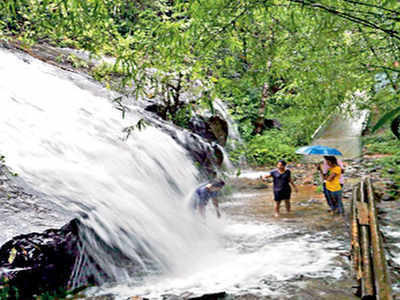 पावसाळी पर्यटनावर बंदी; अन्यथा दोन वर्षाची शिक्षा