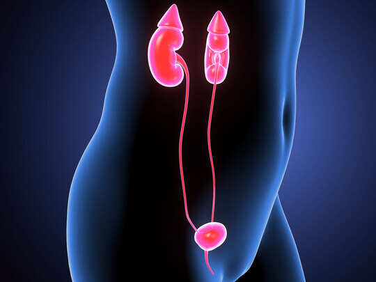 cancer causes and symptoms, Type Of Cancer: कितने प्रकार का होता है कैंसर और क्या होते हैं इनके लक्षण, जानें सबकुछ - type of cancer causes and symptoms - Navbharat Times cancer causes and symptoms, Type Of Cancer: कितने प्रकार का होता है कैंसर और क्या होते हैं इनके लक्षण, जानें सबकुछ - type of cancer causes and symptoms - Navbharat Times