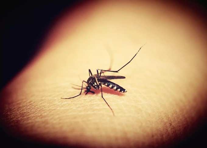 डेंग्यू का जीवघेणा आहे?